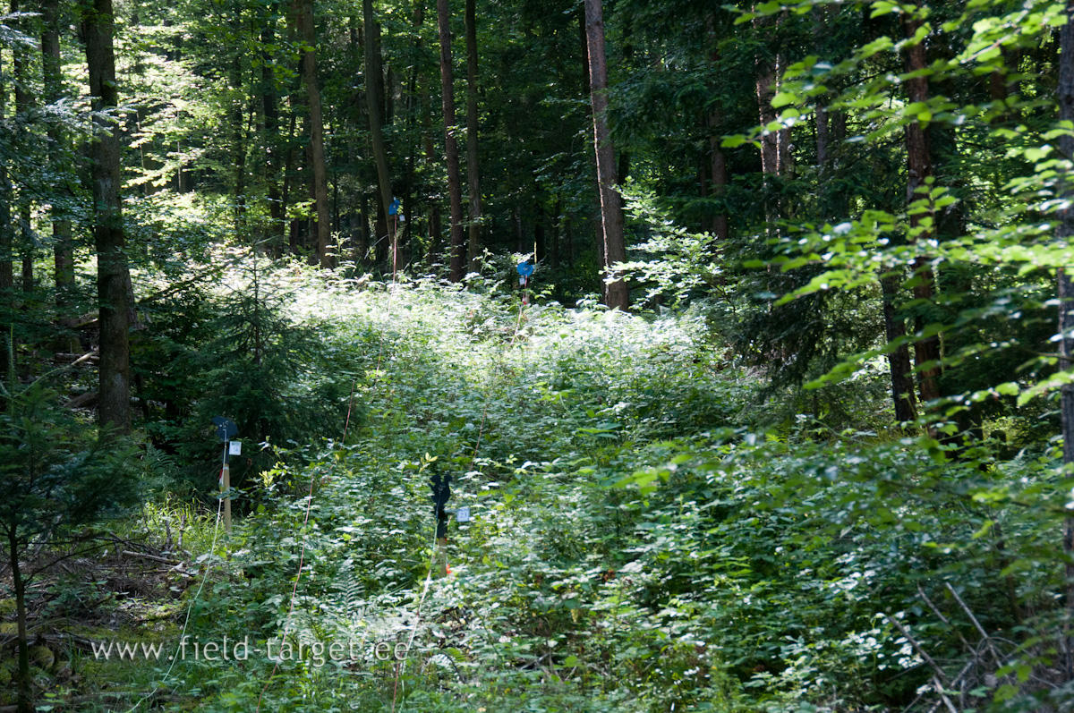 Targets should be placed at the different competition distances, between 8 and 50 metres.